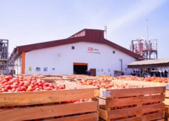 Federal Govt Commissions Tomato Mega Factory In Kebbi