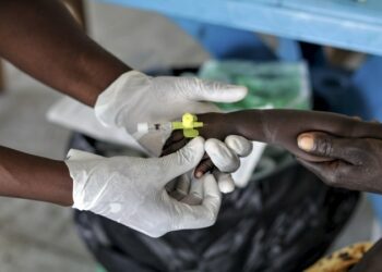 Malaria Infection Reduces In Borno