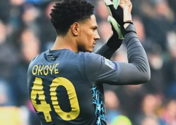 Okoye Rues Udinese Defeat To Inter Milan
