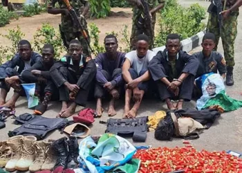 Ibadan Indigenes Condemn Agitators’ Invasion Of Oyo Gov’t Secretariat