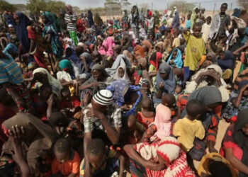 Foundation Asks FG To Probe Attacks On IDPs