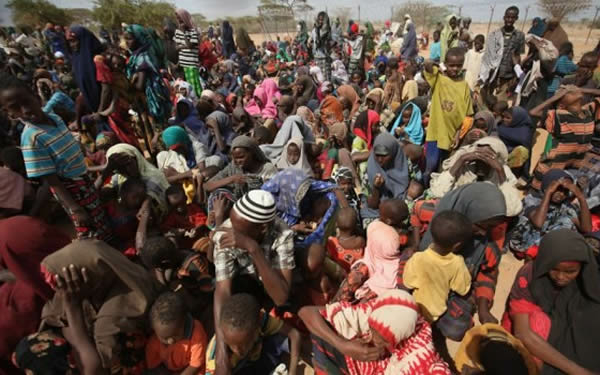 Foundation Asks FG To Probe Attacks On IDPs 1 Borno IDPs