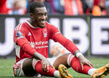 EPL: Forest Beat Fulham To Boost Survival Hopes