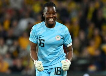 Nnadozie Shortlisted For Best Goalkeeper Award In France