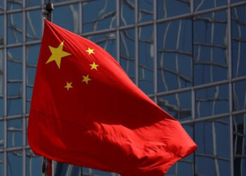 Search  For Global Peace:  The Chinese Examples