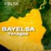 Bayelsa Govt, CSOs Unite Against ‘Environmental Terrorism’