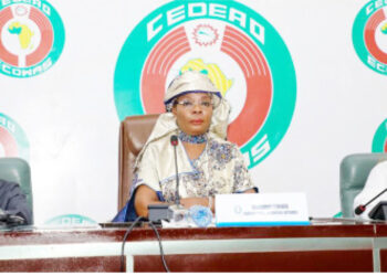 Interrogating ECOWAS $47.6m For Humanitarian Intervention, Youth Development, Others