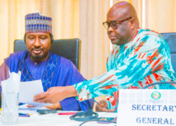 ECOWAS 6th Legislature: When Doctrine Of Necessity Came To Rescue