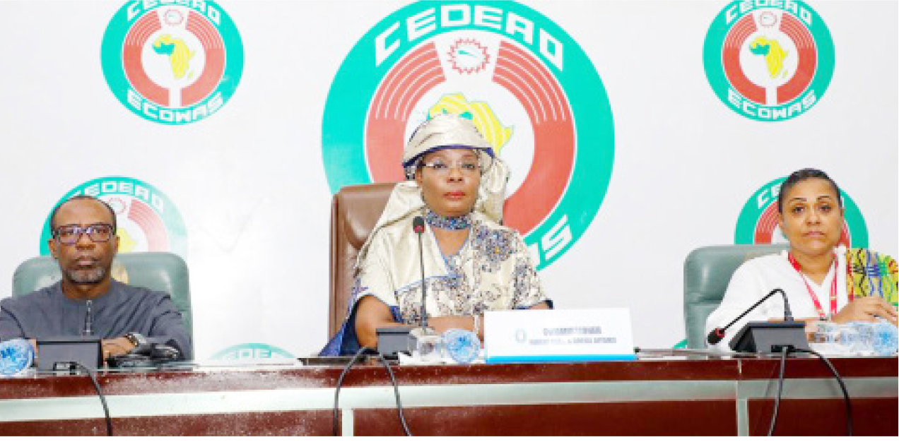 Interrogating ECOWAS $47.6m For Humanitarian Intervention, Youth ...