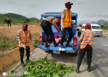 19 Die, 2 Rescued In Okene Auto Crash – FRSC