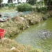 Food Security: Ogun To Revamp Fish Farming Settlements 5 Food Security: Ogun To Revamp Fish Farming Settlements