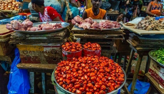 NGO Charges FIIRO On Food Security 1 Global inflation