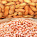 Becoming An Investor In Groundnut Value Chain 5 Becoming An Investor In Groundnut Value Chain