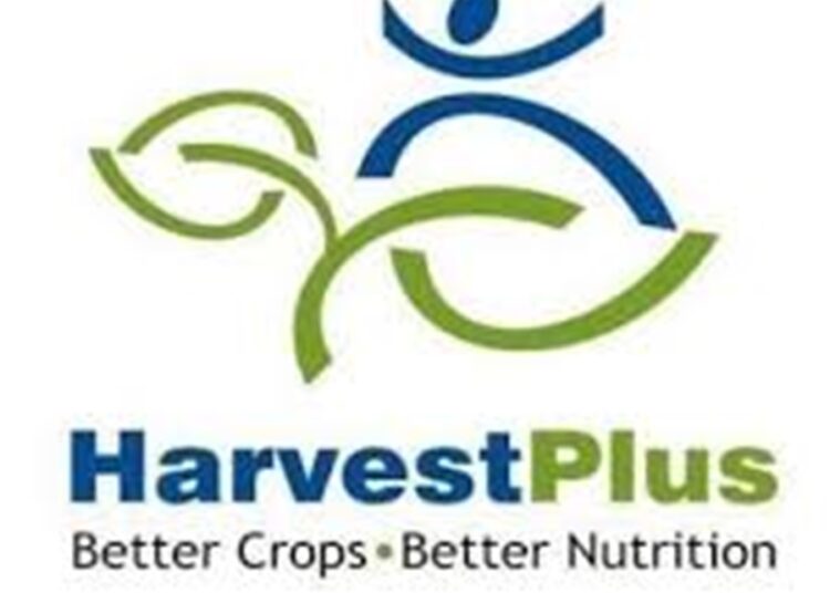 HarvestPlus