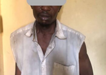 Police Arrest Man For Stabbing His Brother To Death In Bauchi