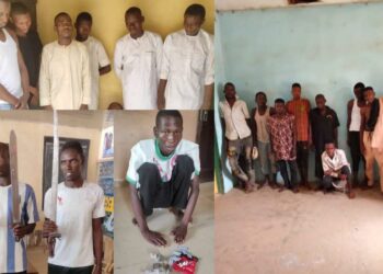 Eid-el-Fitr: Police Arrest 61 Thugs During Durbar Celebrations In Kano