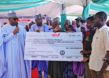 Zulum Doles Out N1.3bn Scholarship To 997 Nursing, Midwifery Students
