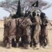 IED Planted By ISWAP Terrorists Kills 8 CJTF Members In Borno 5 IED Planted By ISWAP Terrorists Kills 8 CJTF Members In BornoÂ