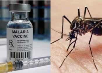As Nigeria Awaits Malaria Vaccine