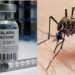 Malaria Vaccine Can Cause Meningitis, Group Alerts NASS 5 As Nigeria Awaits Malaria Vaccine