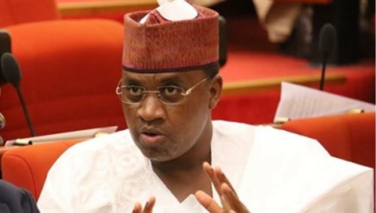 Northern Elders Are Not Paperweight – Marafa 1 Marafa