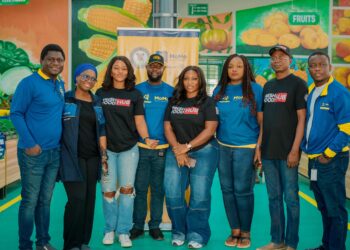 Lagos, MoMo PSB Partner To Drive Financial Inclusion, Food Security