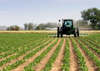 Agric, Way Out Of Nigeria’s Economic Crisis – Expert