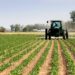 Agric, Way Out Of Nigeria's Economic Crisis – Expert 5 Agric, Way Out Of Nigeria’s Economic Crisis – Expert