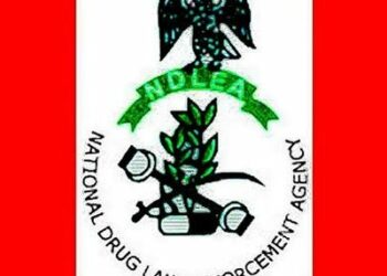 NDLEA Denies Recruiting Personnel