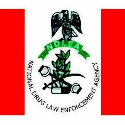 Kingpin, 5 Others Nabbed For Shipping Drugs In 3 Lesser Hajj Pilgrims' Names 1 NDLEA LOGO