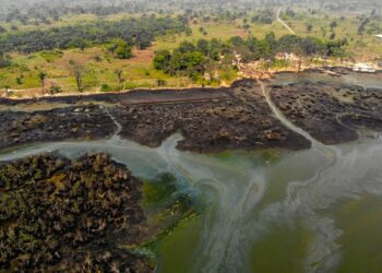 How To Curb Criminality, Violence ln Niger Delta  – EU, Others