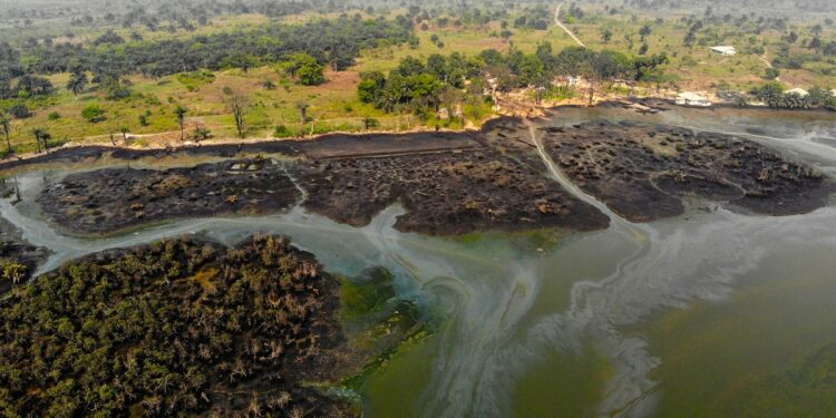 Niger Delta