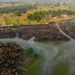 How To Curb Criminality, Violence ln Niger Delta  – EU, Others
