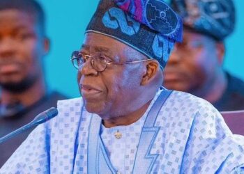 Leave Tinubu Alone, Northern Youth Group Tells NEF