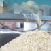 Save Rice Processors From Collapse, Stakeholders Beg FG 5 Save Rice Processors From Collapse, Stakeholders Beg FG