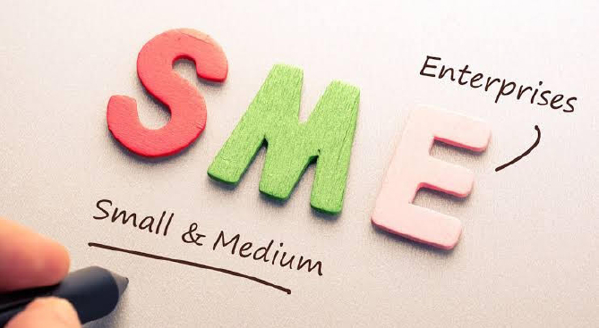FG, Access Bank Empower 4 Million MSMEs, Create 384,000 Jobs To Boost Resilience For Households 1 SME