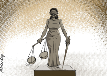 30 Years Of South African Constitution