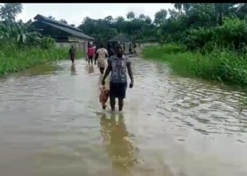 Flood Alert: Environmentalist Urges Proactive Actions To Mitigate Impact
