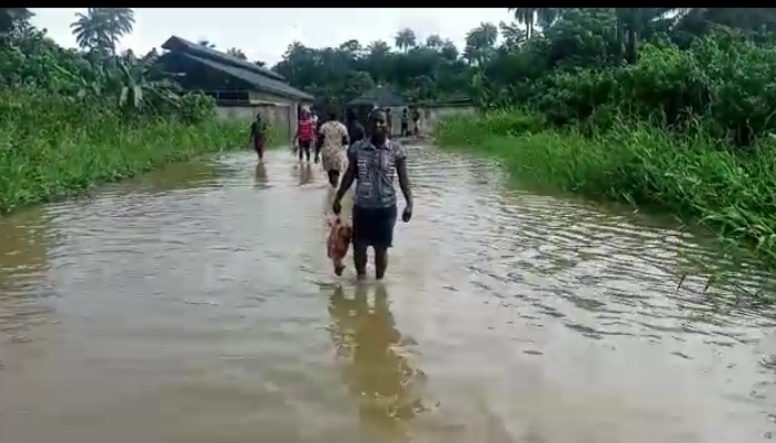 Flood Alert: Environmentalist Urges Proactive Actions To Mitigate Impact 1 Screenshot 20230106 094551 Gallery