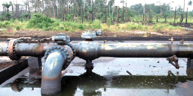 Oil Thieves
