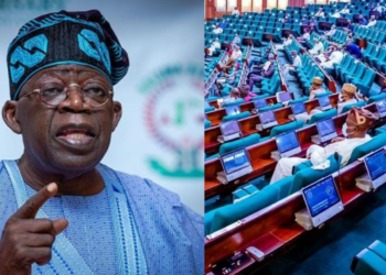 Reps Summon Tinubu Over Fuel Scarcity, Ask NERC To Stop Electricity Tariff Hike