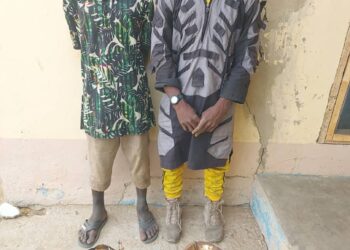 Boko Haram IED Expert, 1 Other Surrender In Borno
