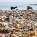 World Earth Day: Group Moves To Save Nigeria, Others From Losing $70bn To Plastic Pollution 5 World Earth Day: Group Moves To Save Nigeria, Others From Losing $70bn To Plastic Pollution