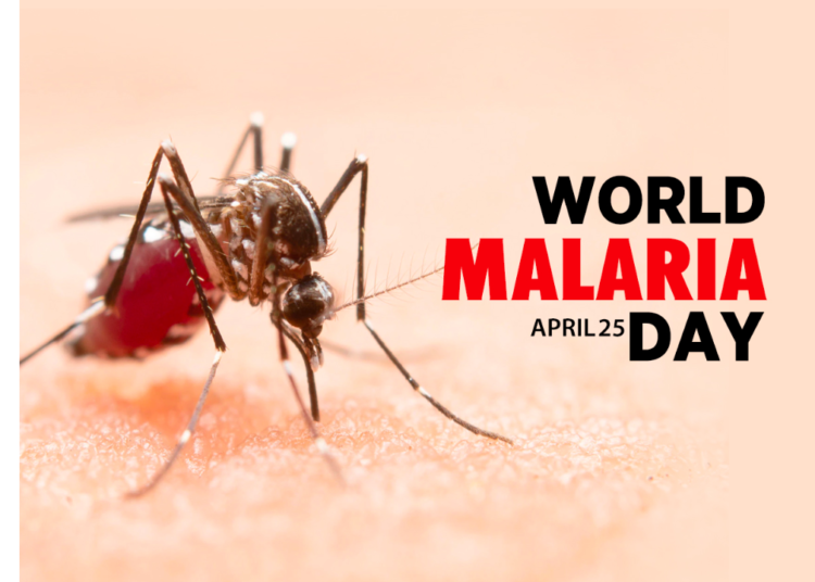 World Malaria Day