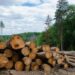 Advocate Seeks Increased Collaboration To Tackle Deforestation