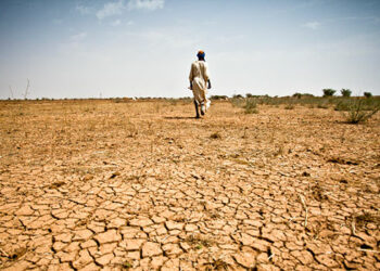 Stakeholders To Combat Climate Change Challenges