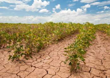 FG To Reduce Climate Change Impacts on Farmers