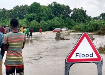 Flood Alert: Environmentalist Urges Proactive Actions
