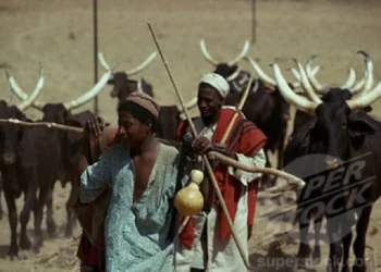 Sultan Urged To Wade Into Hausa, Fulani Crisis