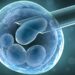 Nigeria Deploys First Non-invasive PGT-A To Avert Abnormalities In Babies 5 Nigeria Deploys First Non-invasive PGT-A To Avert Abnormalities In Babies